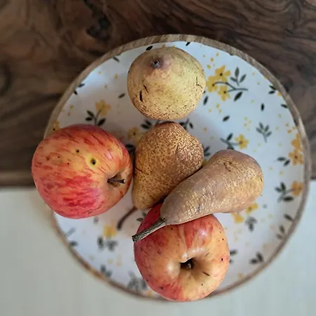 Dom wakacyjny Posestvo Brida - Authentic Cozy Nest *