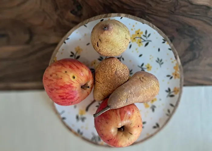 別荘 Posestvo Brida *