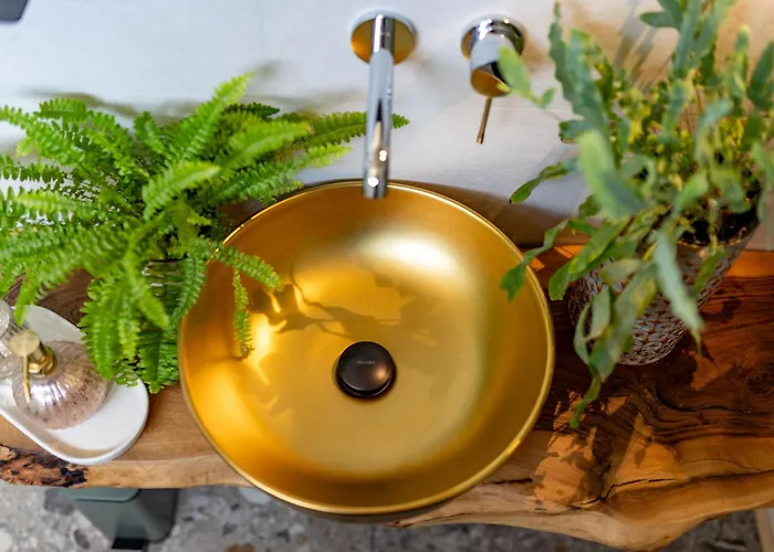 Posestvo Brida 別荘 イリルスカ・ビストリツァ