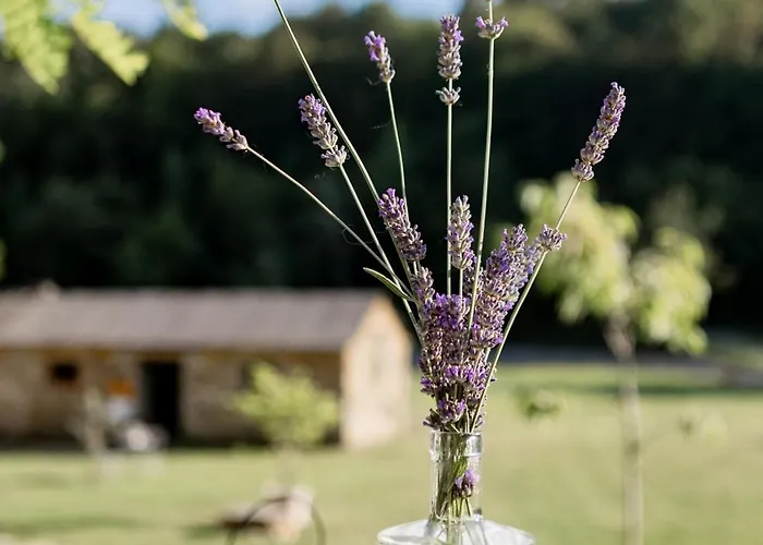 Posestvo Brida * イリルスカ・ビストリツァ